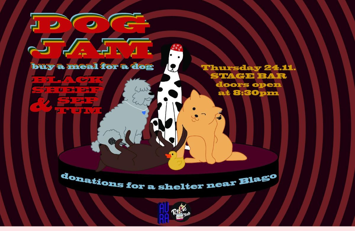 AUBGers with a Charity Concert to Help Local Dogs