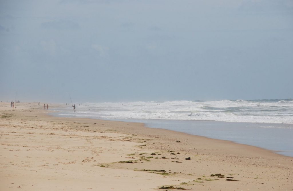  Land and Sea featured image