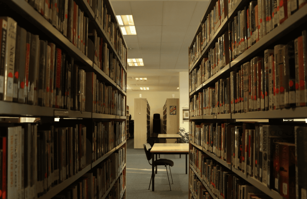 A New Era of Green Education: Introducing the Sustainability Studies Minor featured image