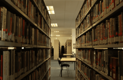 A New Era of Green Education: Introducing the Sustainability Studies Minor featured image