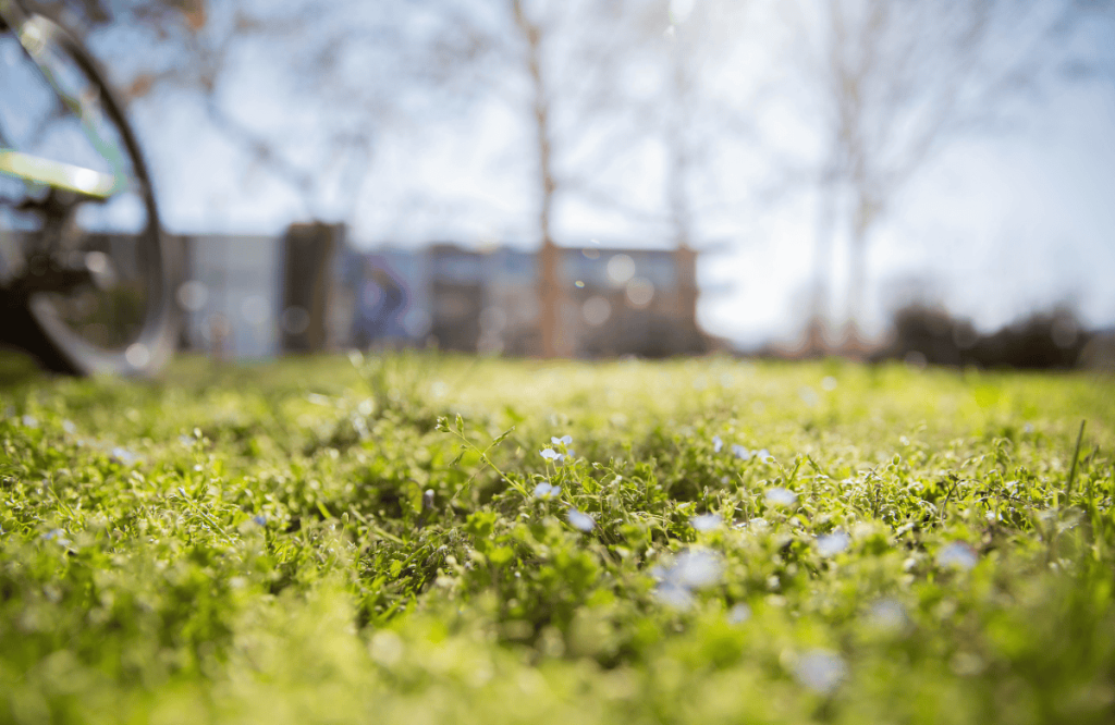 Universities Need to Take a Holistic Approach to Sustainability Education featured image